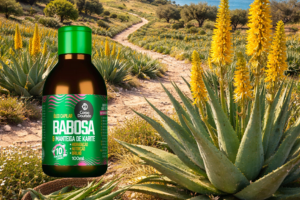 Aceite capilar de Aloe vera y Karite